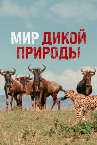 Мир дикой природы (сериал 2014)