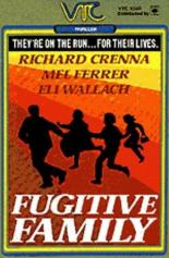 Непрочная семья (1980)