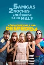 Cómo sobrevivir a una despedida (2015)