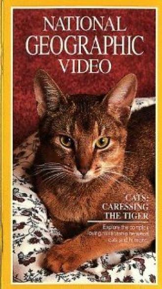 Кошки: Ласковые тигры (фильм 1991)