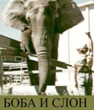 Боба и слон (фильм 1972)