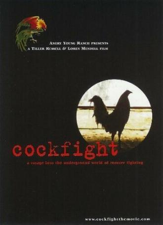 Cockfight (фильм 2001)