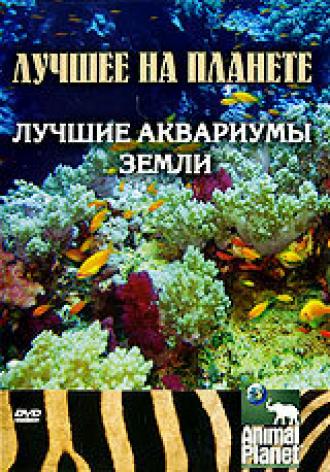 Animal Planet: Лучшие аквариумы земли (фильм 2007)