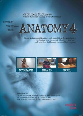 Анатомия (сериал 2008)