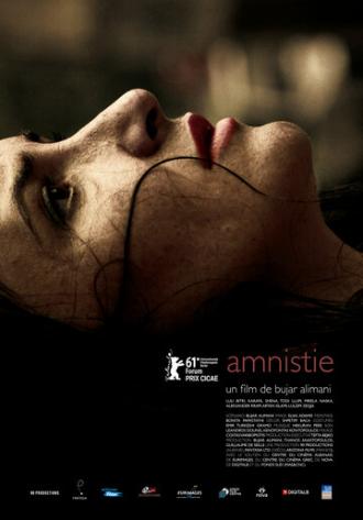 Амнистия (фильм 2011)