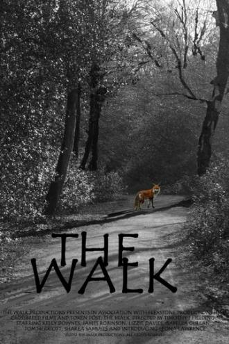 The Walk (фильм 2015)