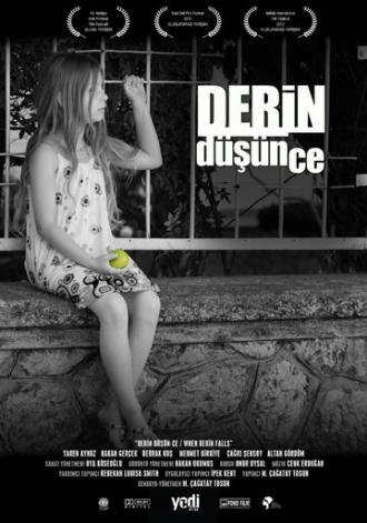 Derin Düsün-ce (фильм 2013)