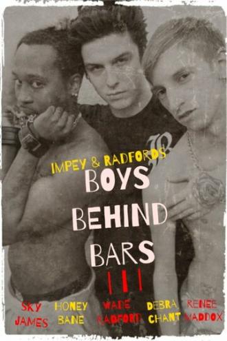 Boys Behind Bars 3 (фильм 2015)