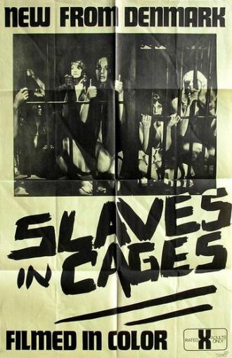 Рабы в клетках (фильм 1972)