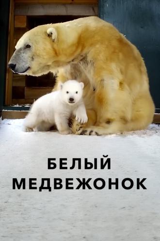 Белый медвежонок (фильм 2018)