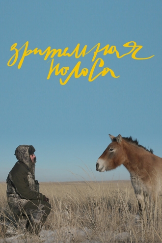 Зрительная полоса