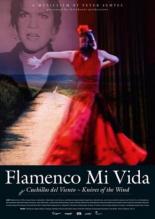 Flamenco mi vida - Knives of the wind 2007
