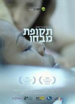 Испытательный срок (2014)