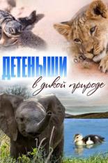 Детеныши в дикой природе (2015)