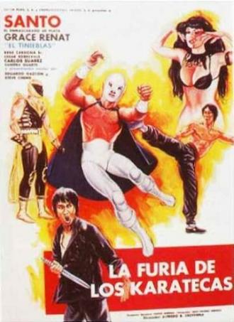 La furia de los karatecas (фильм 1982)