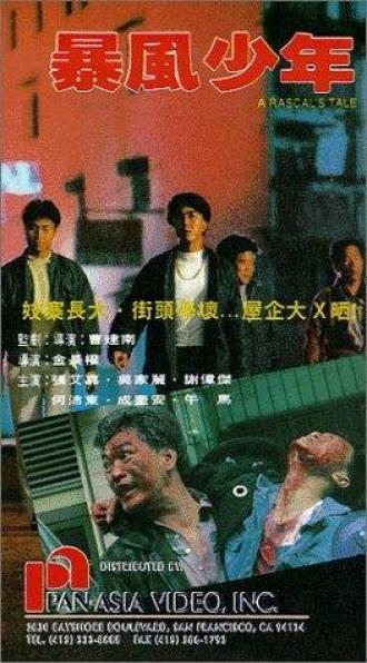 Bao feng shao nian (фильм 1991)