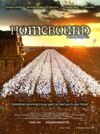 Homebound (фильм 2013)