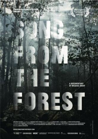 Song from the Forest (фильм 2013)