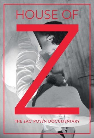 Дом Z (фильм 2017)