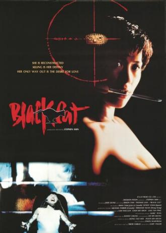 Черная кошка (фильм 1991)