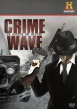 Crime Wave: 18 Months of Mayhem (2008)