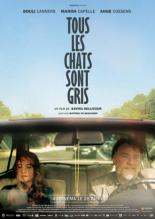 Tous les chats sont gris (2014)