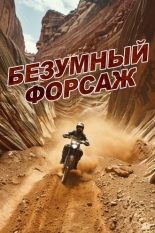 Безумный форсаж (2017)