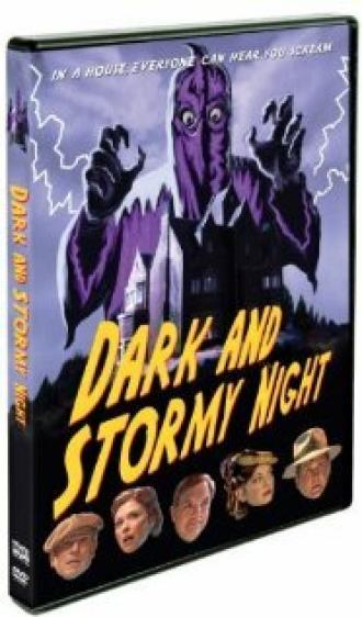 Dark and Stormy Night (фильм 2009)