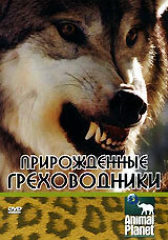 Прирожденные греховодники (фильм 2003)
