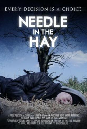 Needle in the Hay (фильм 2011)