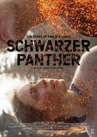 Schwarzer Panther (фильм 2014)
