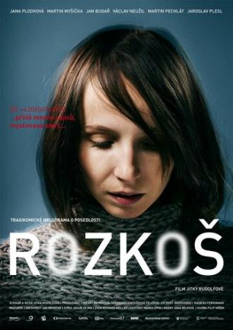 Rozkos (фильм 2013)