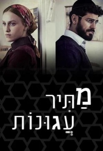 Освободитель соломенных вдов (сериал 2019)