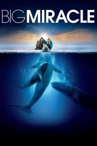 Все любят китов (фильм 2012)