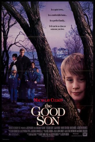 Добрый сынок (фильм 1993)