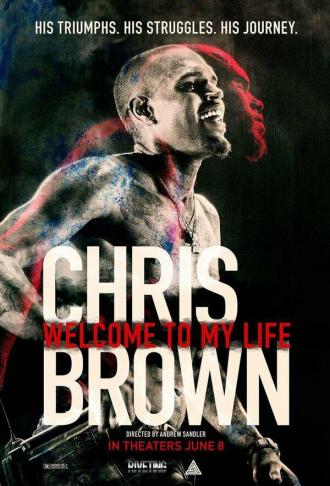 Крис Браун: Добро пожаловать в мою жизнь