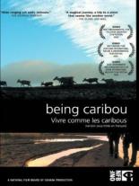 Being Caribou 2004