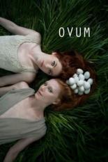 Ovum (2015)