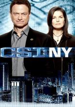 CSI: Место преступления Нью-Йорк  (2004)