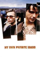 Мой личный штат Айдахо (1991)