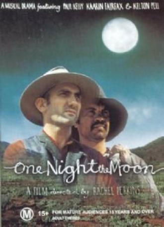 Однажды лунной ночью (фильм 2001)