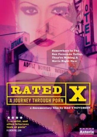 Рейтинг X: Путешествие через порно (фильм 1999)