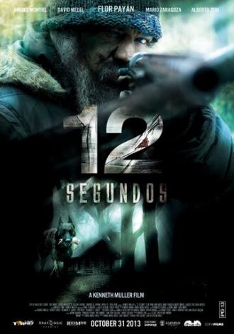 12 секунд (фильм 2013)