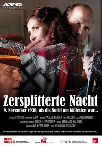 Zersplitterte Nacht: 9. November 1938, als die Nacht am kältesten war... (фильм 2013)