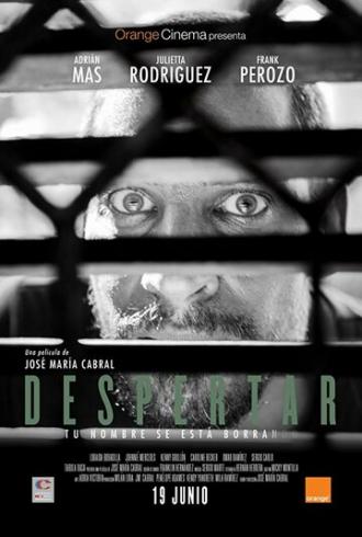 Despertar (фильм 2014)