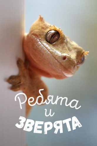 Ребята и зверята (сериал 2007)