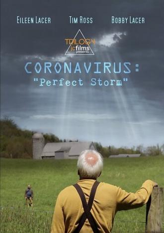 Coronavirus: Perfect Storm (фильм 2020)