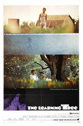 Дерево науки (фильм 1969)