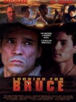 Looking for Bruce 1996