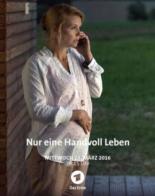 Лишь немногое в этой жизни (2016)